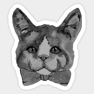 Black and white cat Sticker